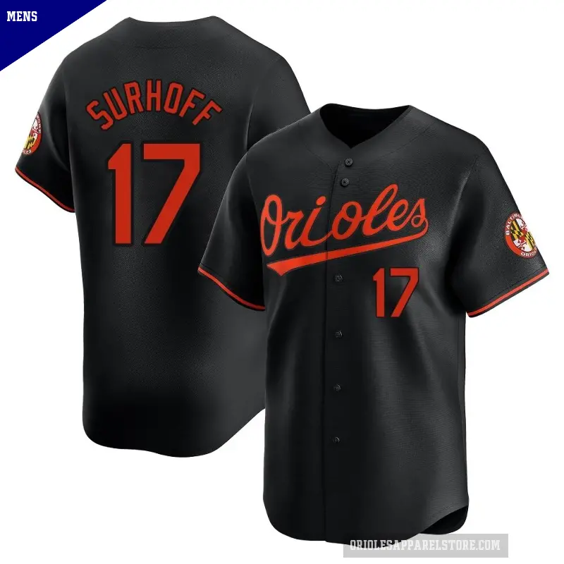 Men's No.17 Bj Surhoff Baltimore Orioles Black Limited Alternate Jersey