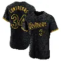 Men's No.34 Roansy Contreras Baltimore Orioles Black Authentic Snake Skin City Jersey