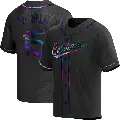 Youth No.15 Hoyt Wilhelm Baltimore Orioles Black Replica Holographic Alternate Jersey