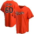 Youth No.60 Colin Selby Baltimore Orioles Orange Replica Alternate Jersey