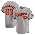 Youth No.83 Elvin Rodriguez Baltimore Orioles Gray Limited Road Jersey